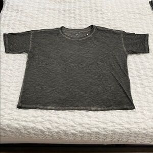 Eileen Fisher Grove Organic Cotton Hazy Slub Crew Neck Boxy Tee XS NWT